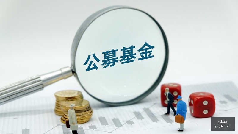 电竞战队新,阵容亮相,新赛季战火,yobo体育,yobo平台,体育赛事,yobo娱乐,体育竞猜